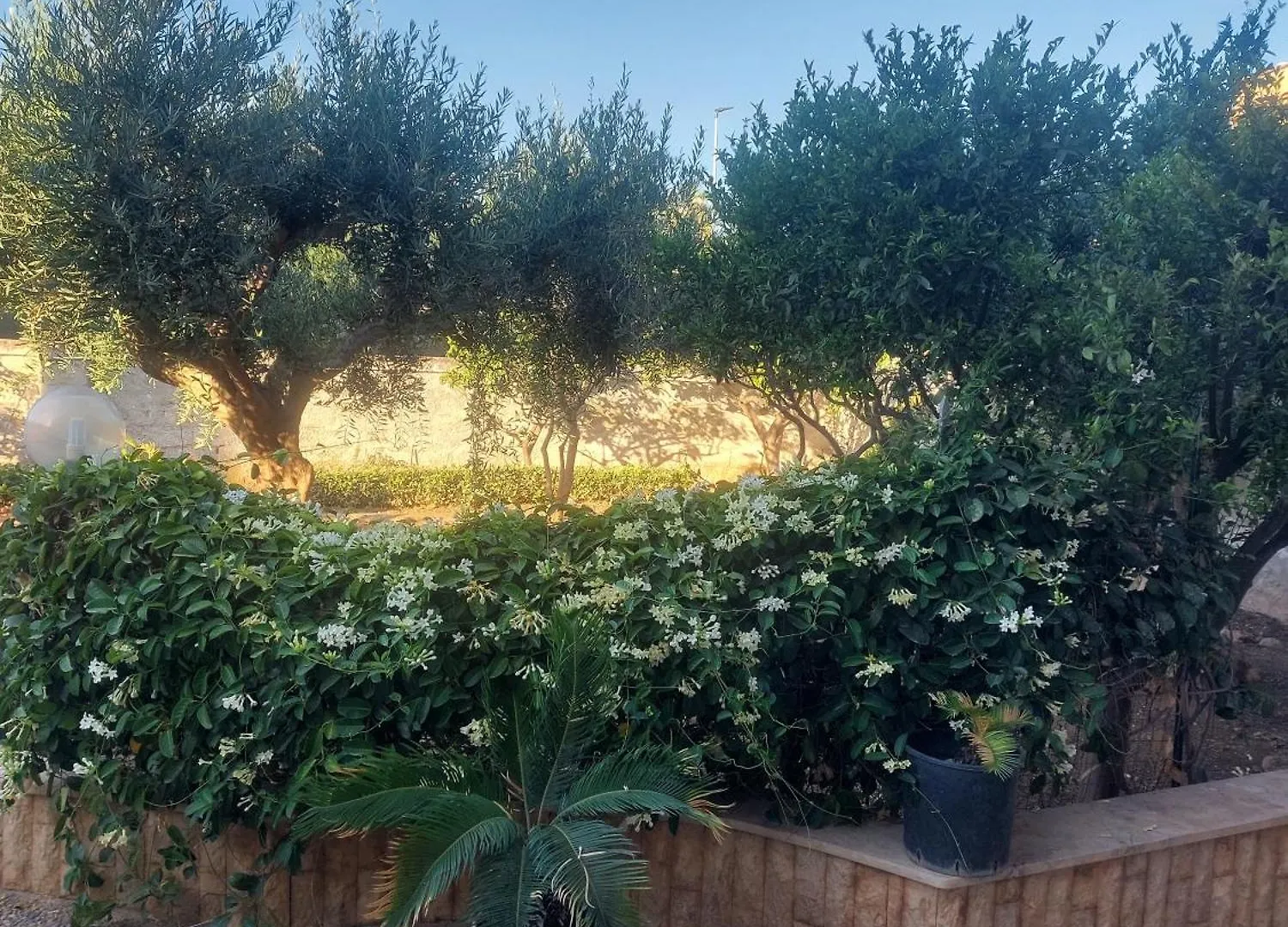 Alcantara Suites Trapani Italien